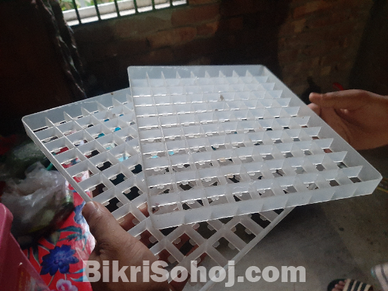 অটোমেটিক ইনকিউবেটর